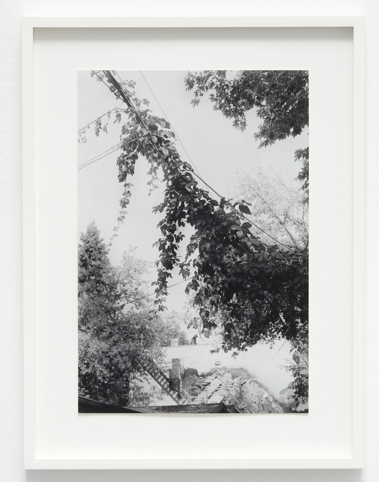 Orri Jónsson, Toronto 2014, 2018