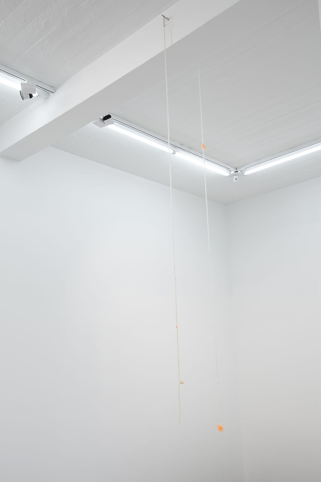 MARGRÉT H. BLÖNDAL, Untitled, 2019