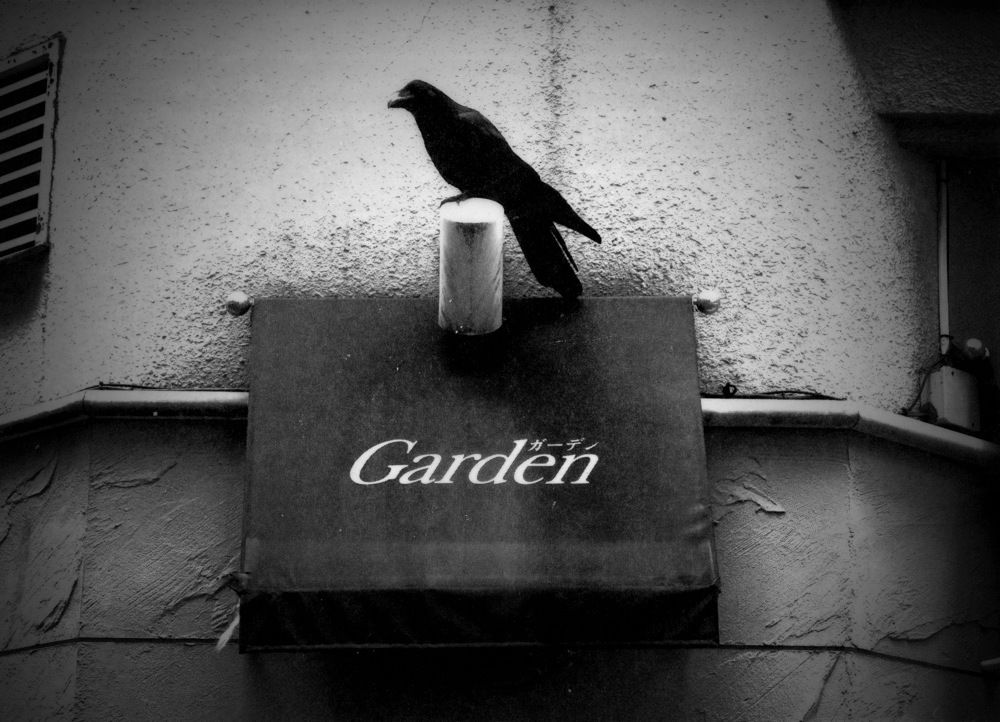 Tokyo Rumando, Untitled from 'S', 2018