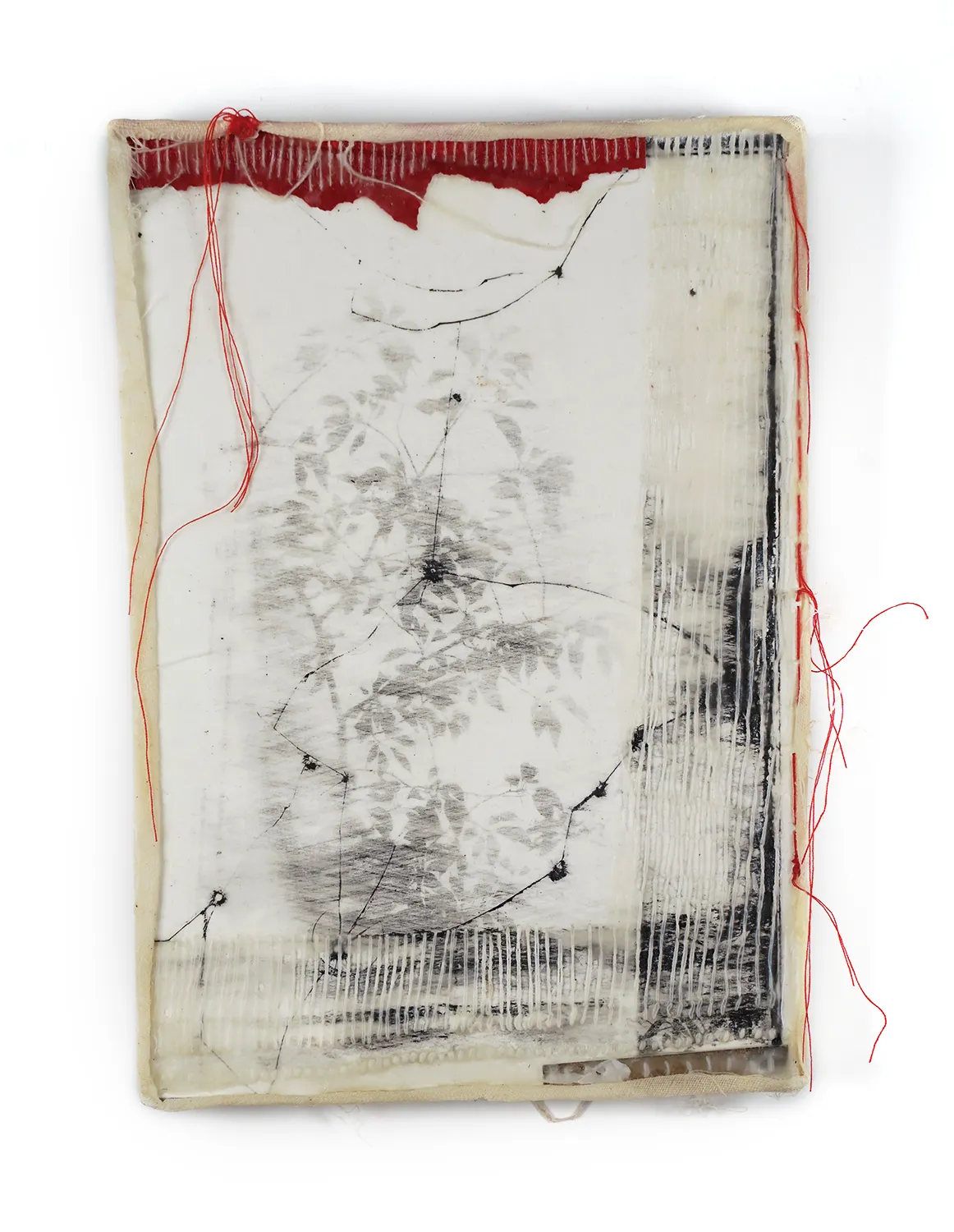 Jackie Mulder, Thought Trails #566, 2025