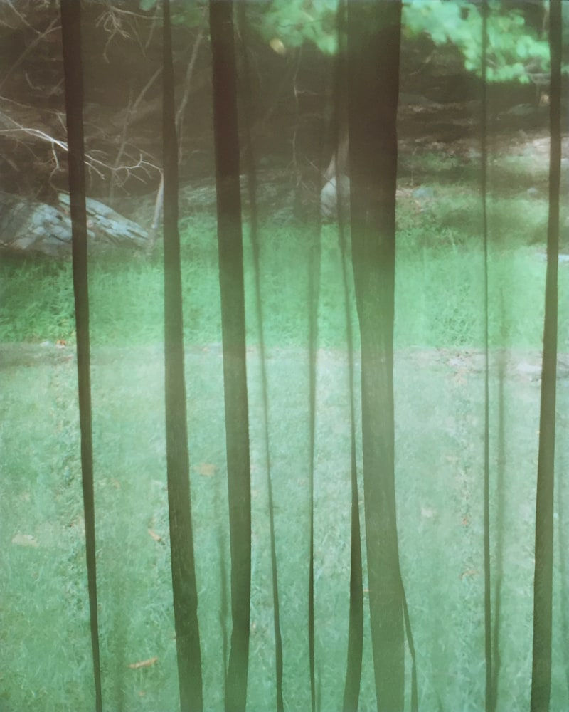 Motohiro Takeda, Untitled from Blink/Matataki, 2015