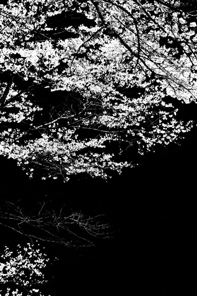 Munemasa Takahashi, Laying Stones 042, 2014