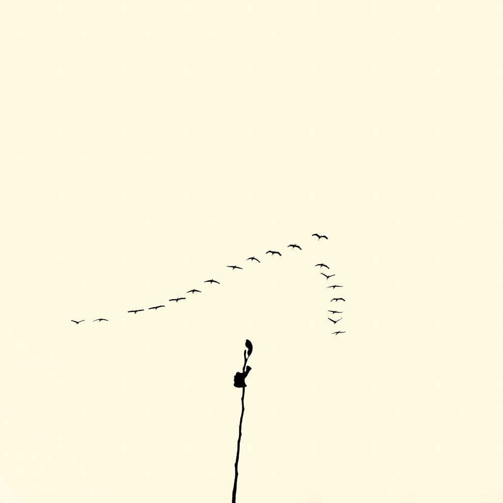 François Laxalt, Dix Neuf / Nineteen, 2015