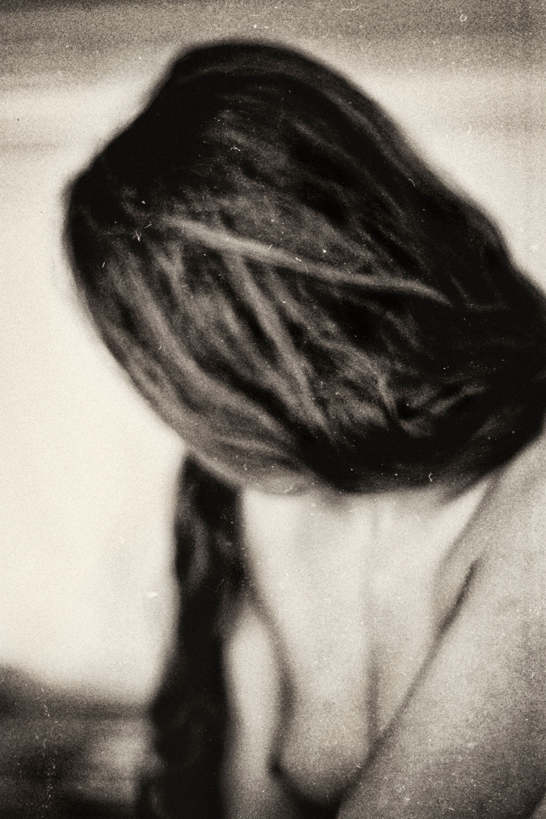 Elizabeth Alderliesten, Lisa I, 2017