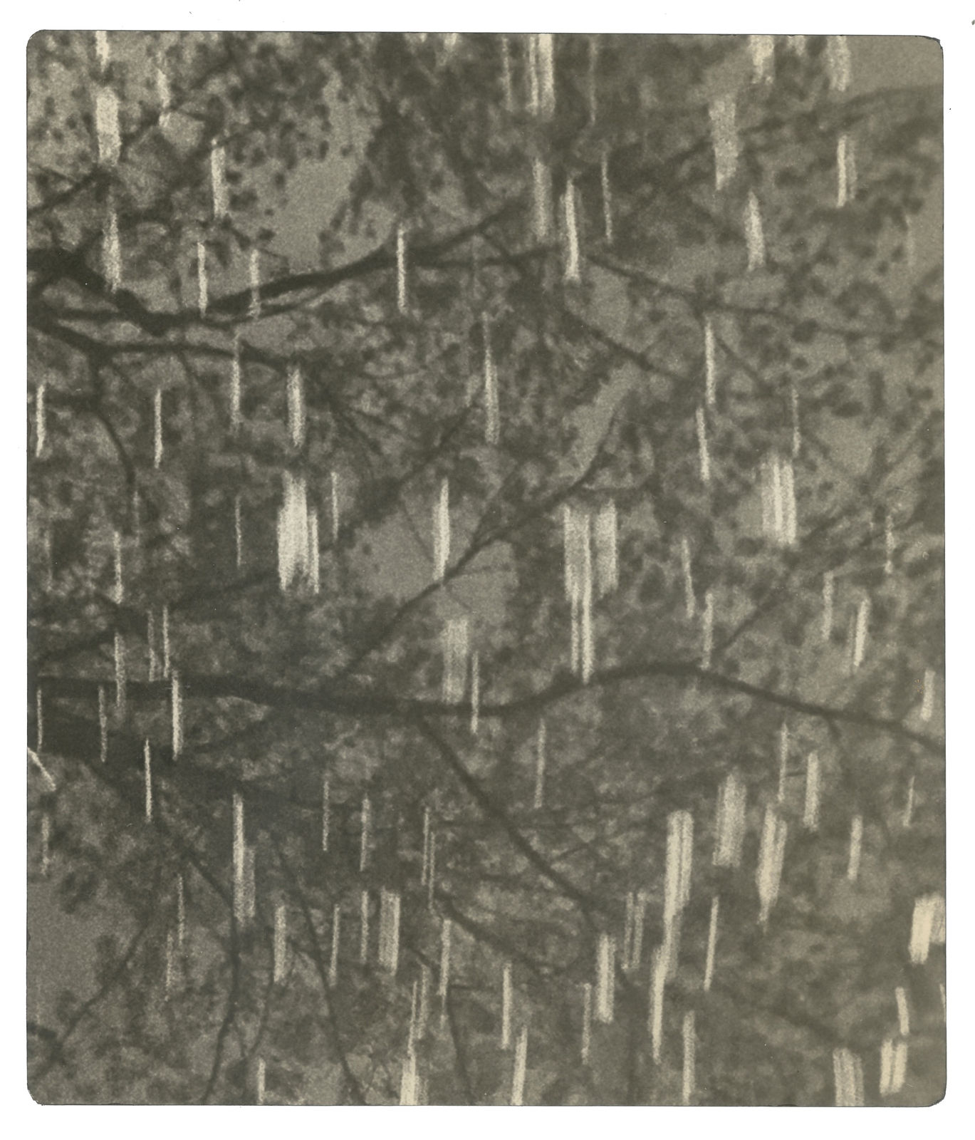 Miho Kajioka, BK0621, 2020