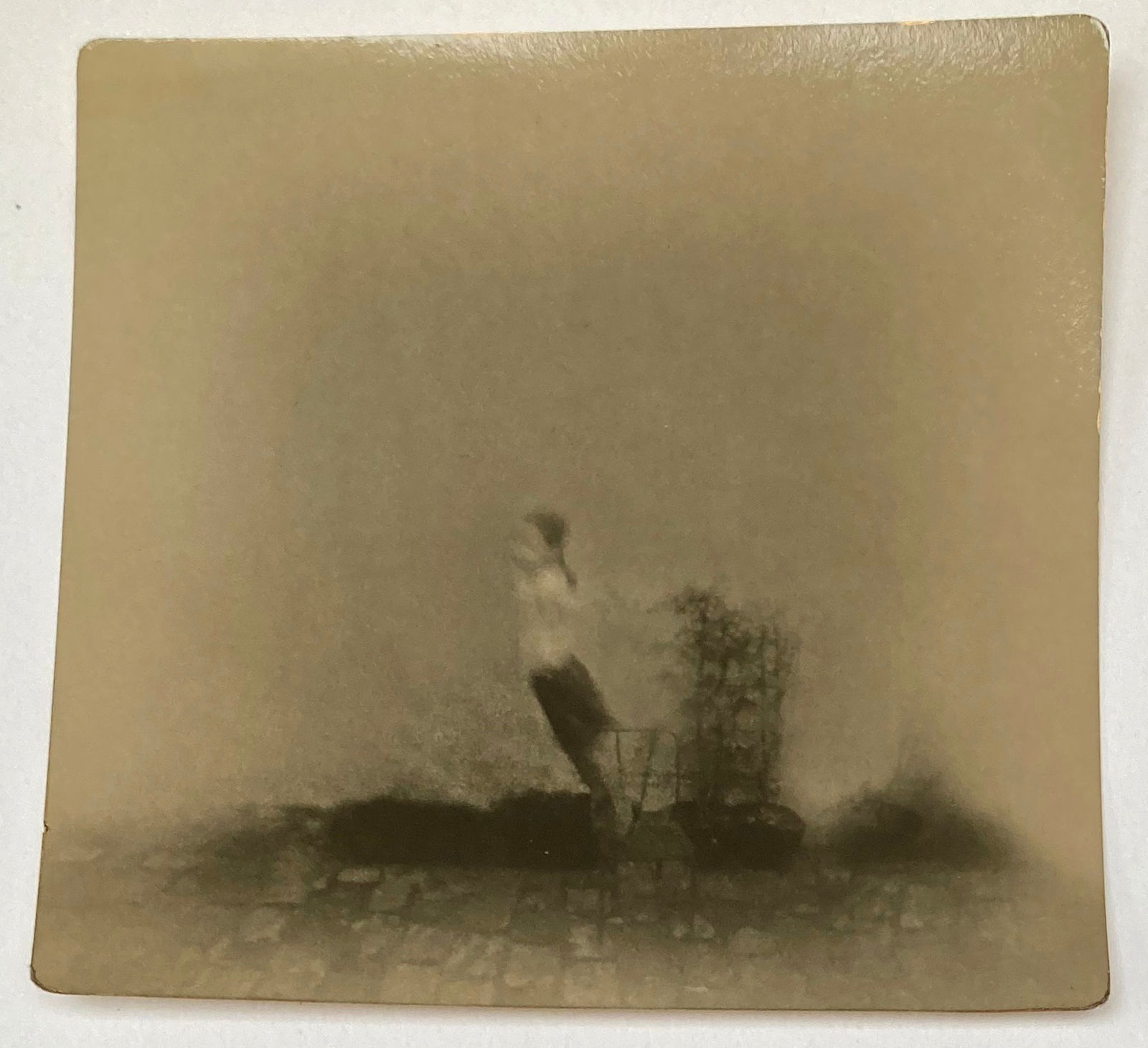 Miho Kajioka, BK0638, 2020