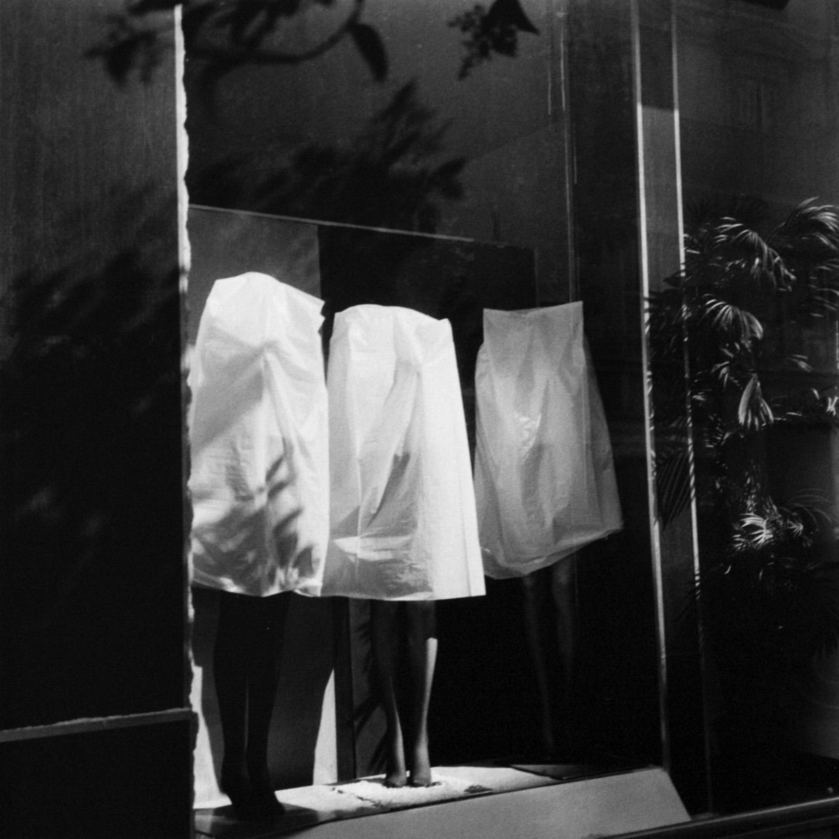 Reiko Imoto, Three Sisters from Miniascape Window, 2011