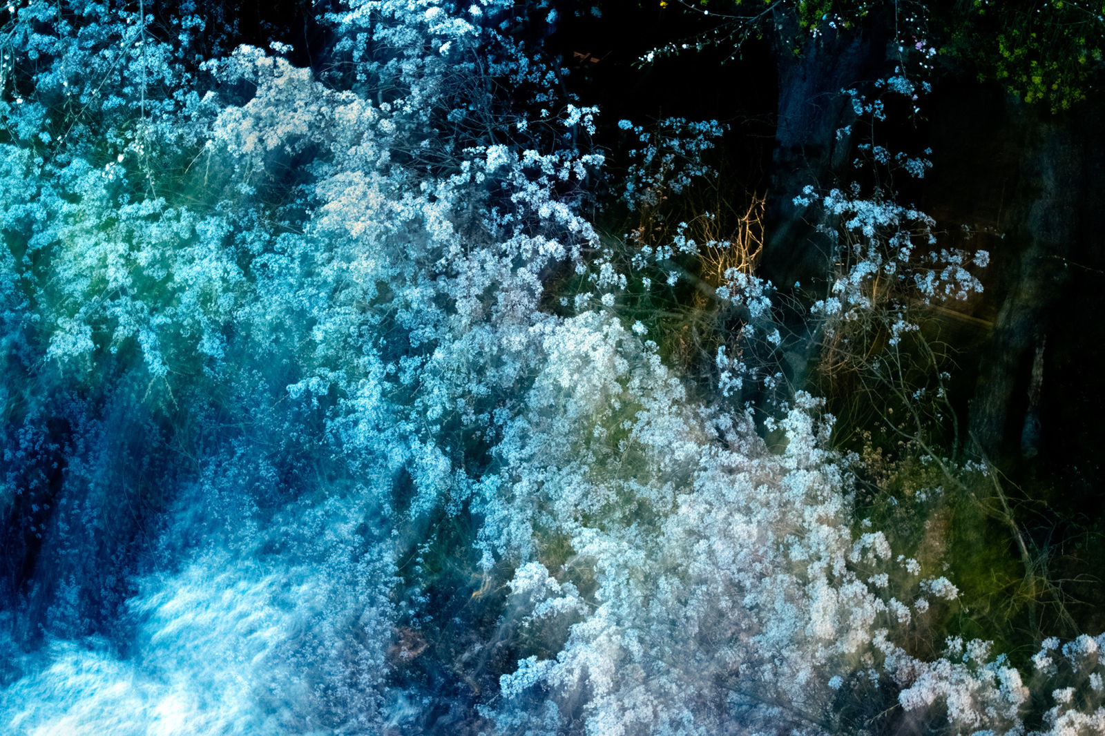 Ai Iwane, Takashiba Dekoyashiki, Koriyama, Fukushima, 2020