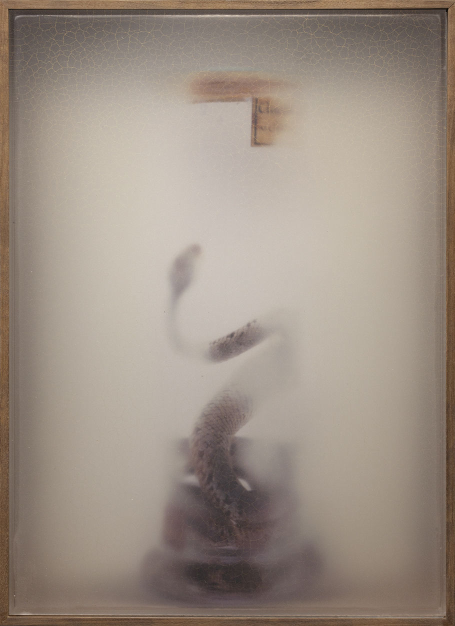 Casper Faassen, ReCollection 15, 2020