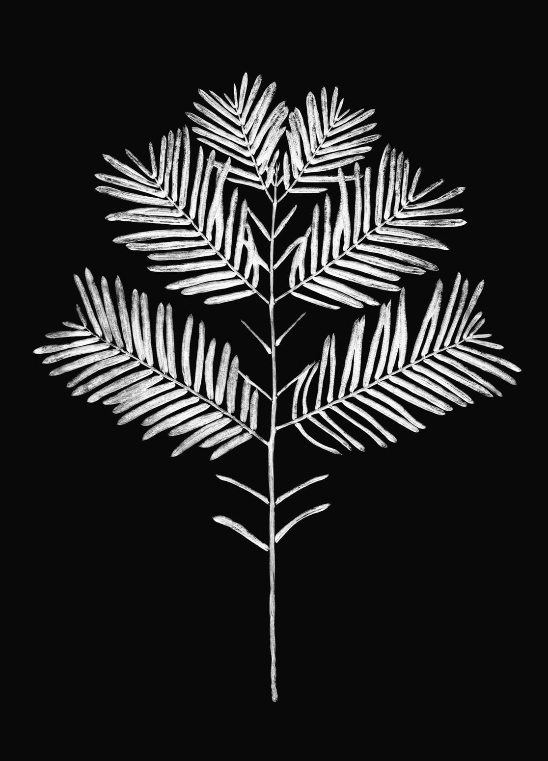 Hideyuki Ishibashi, ATLAS #6, Metasequoia, 2021