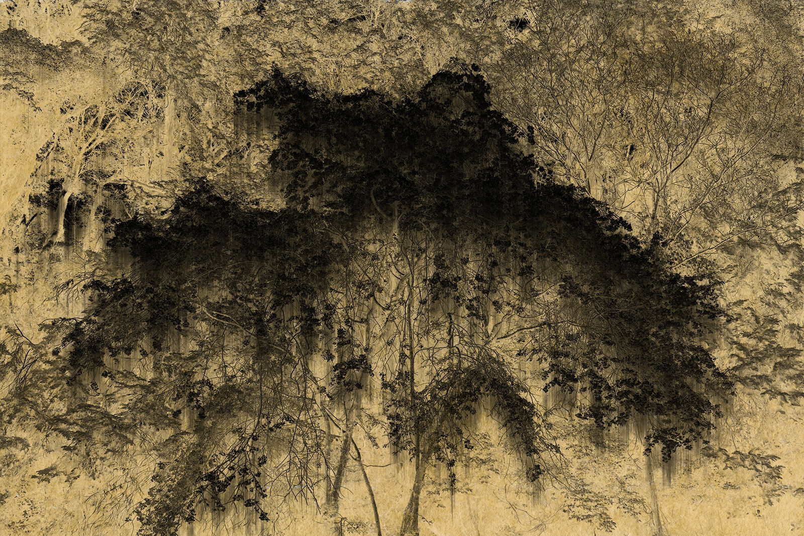 Albarrán Cabrera, Nyx #26, 2018/2023