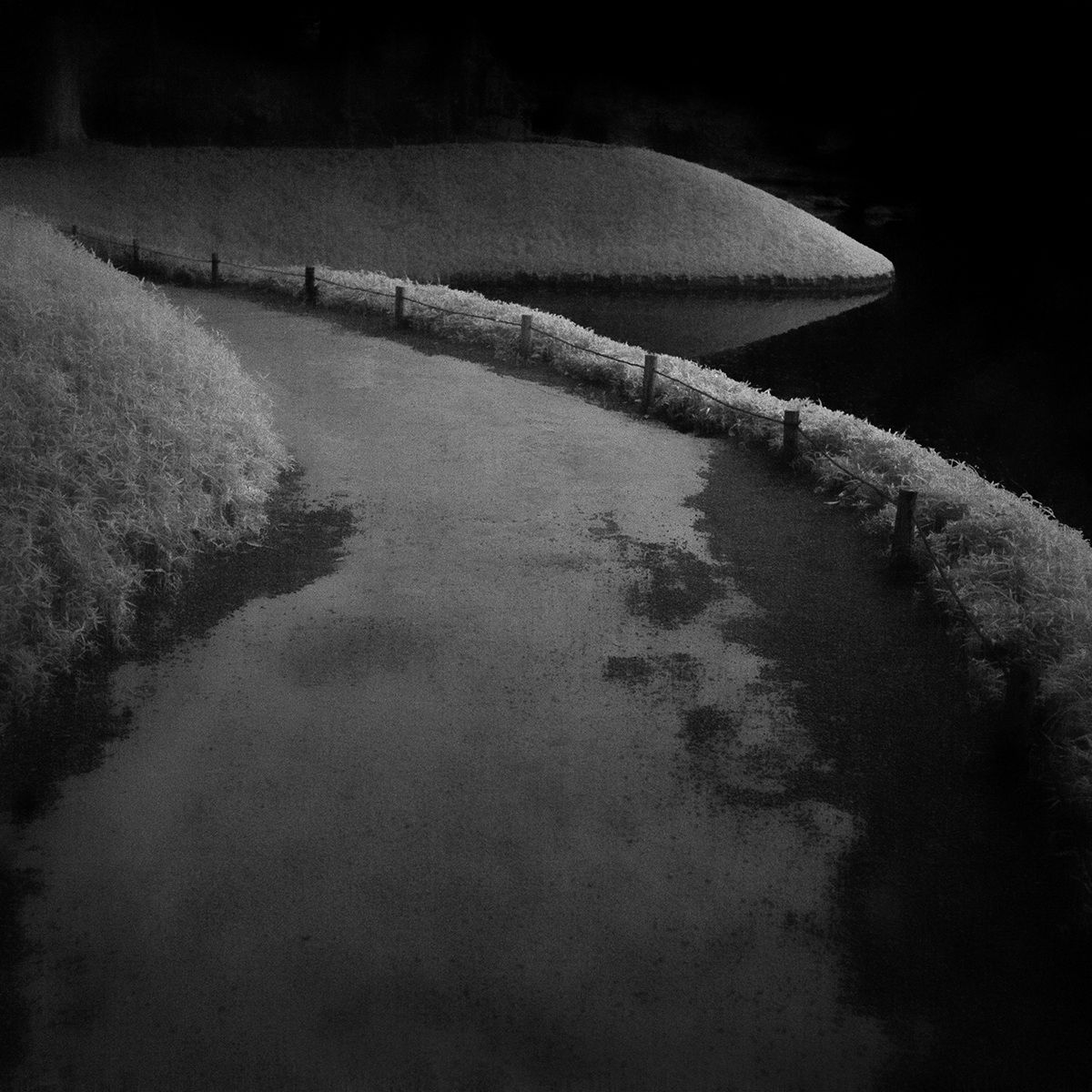 Toshiya Watanabe, Beyond what you see #15, 2021