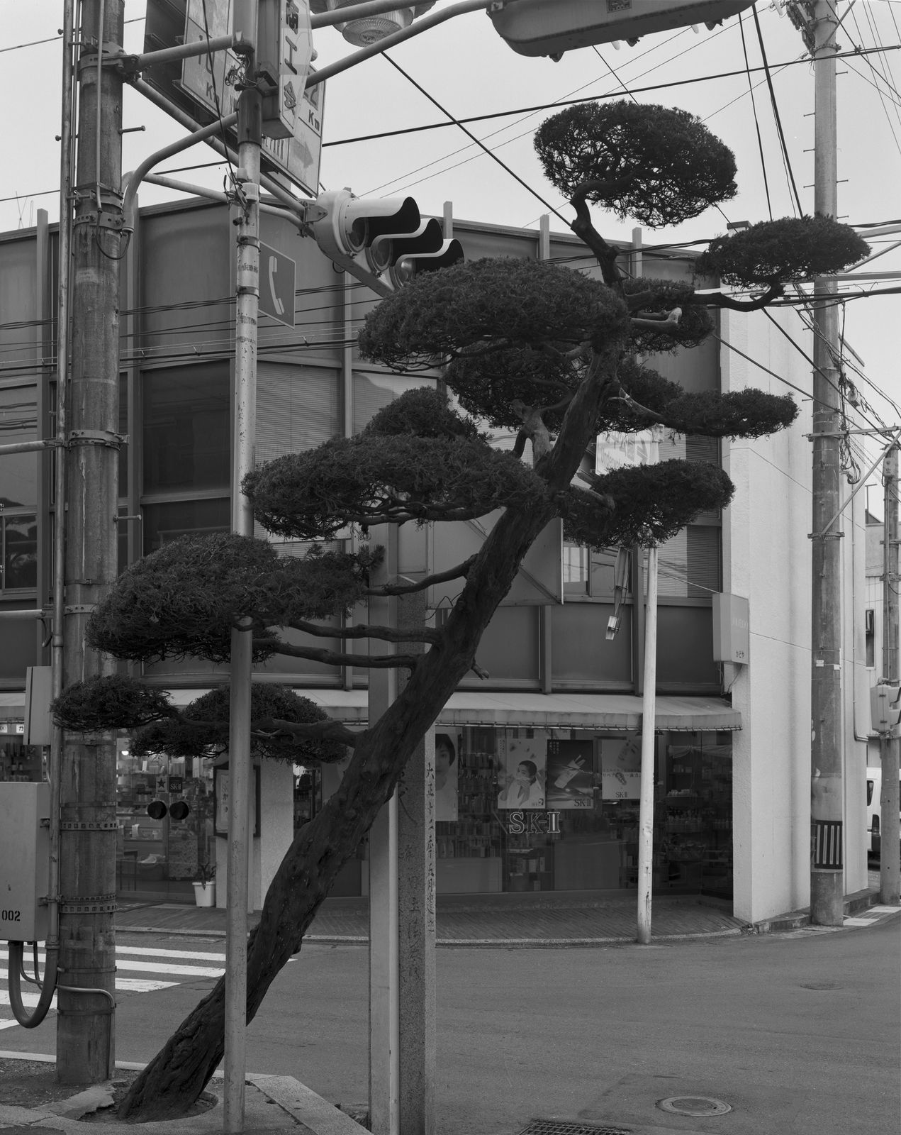 Gerry Johansson, Misho, Ehime, Japan, 1999