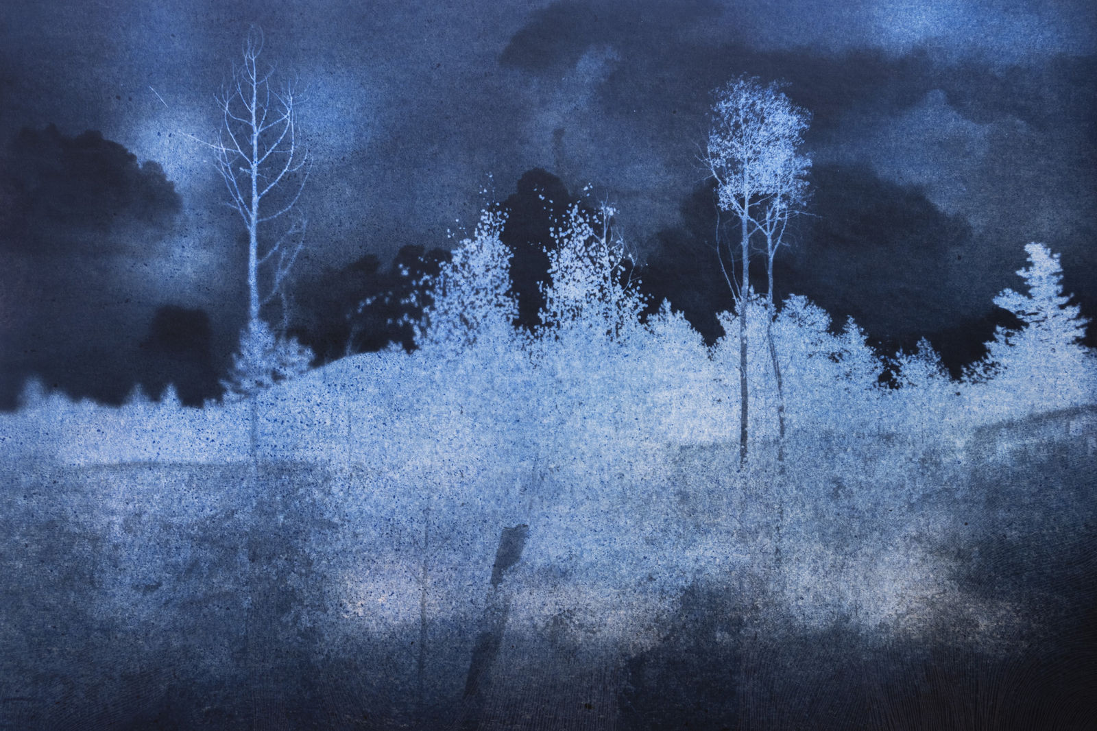 Morvarid K, Standing Still 5-5, 2026