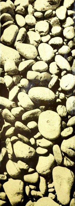 Naohiro Ninomiya, Glanage-37, 2020