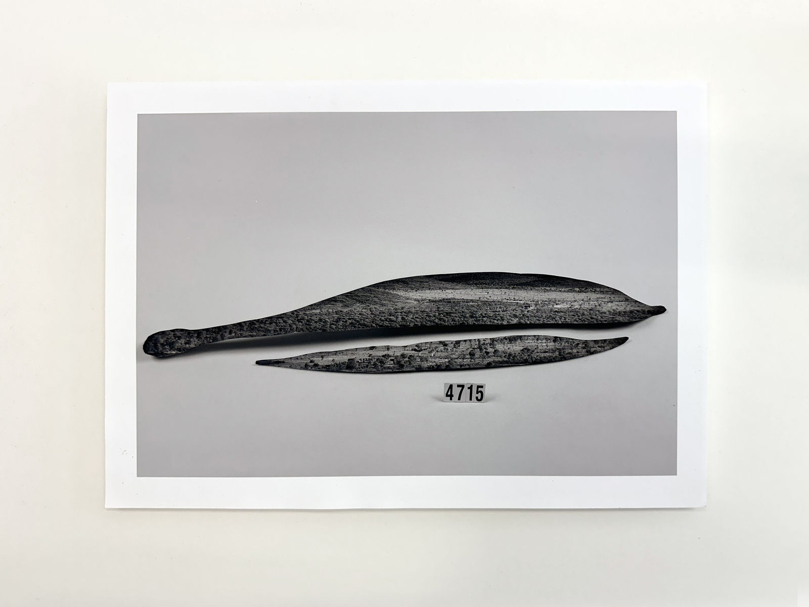 Patrick Waterhouse, 4715, 2022-23