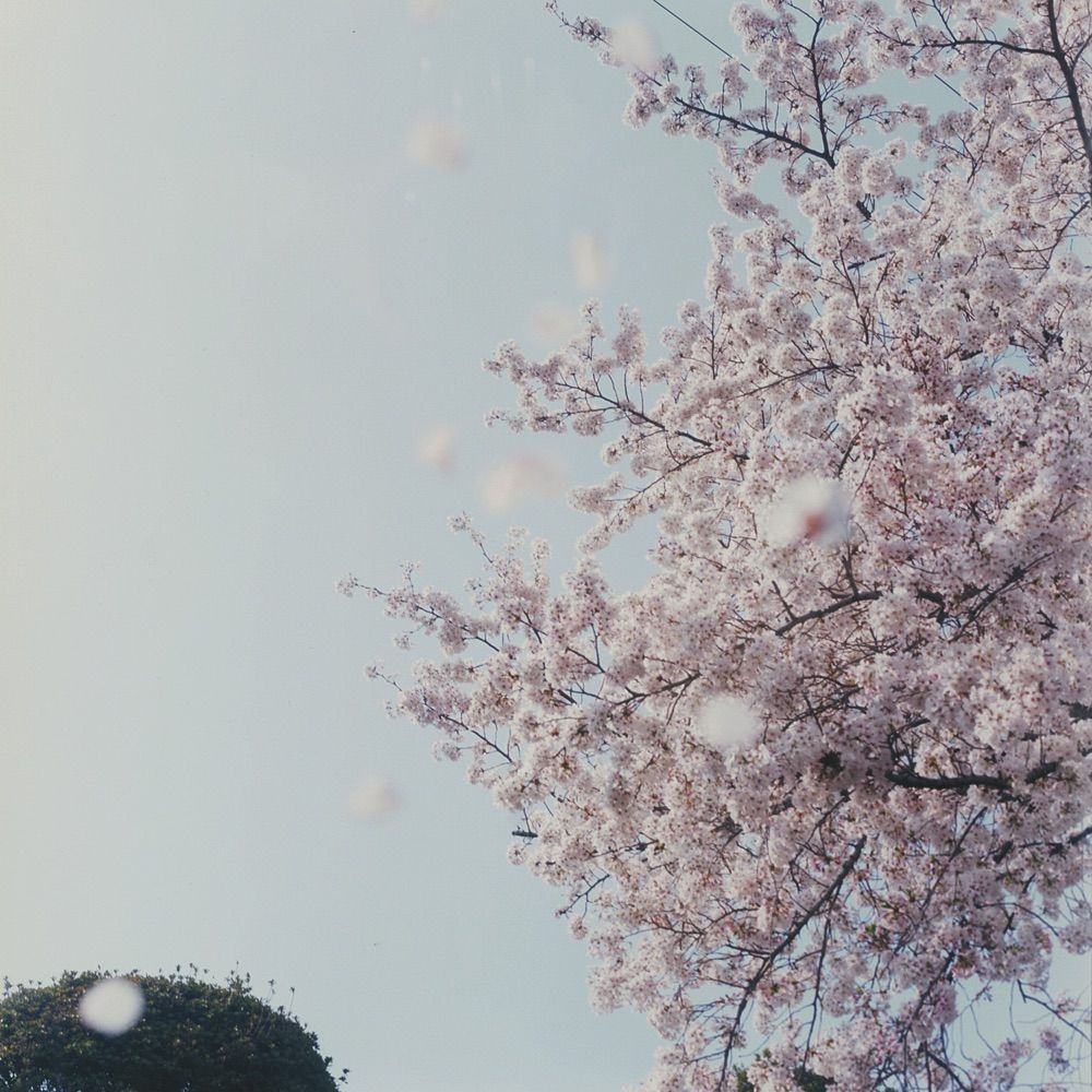 Hiromi Kakimoto, Little World #13, 2001-2004