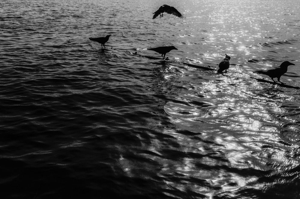 Hitoshi Fugo, 'BLACKOUT' #22, 1980