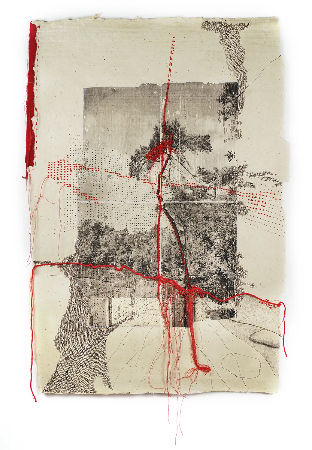 Jackie Mulder, Thought Trails #560, 2026