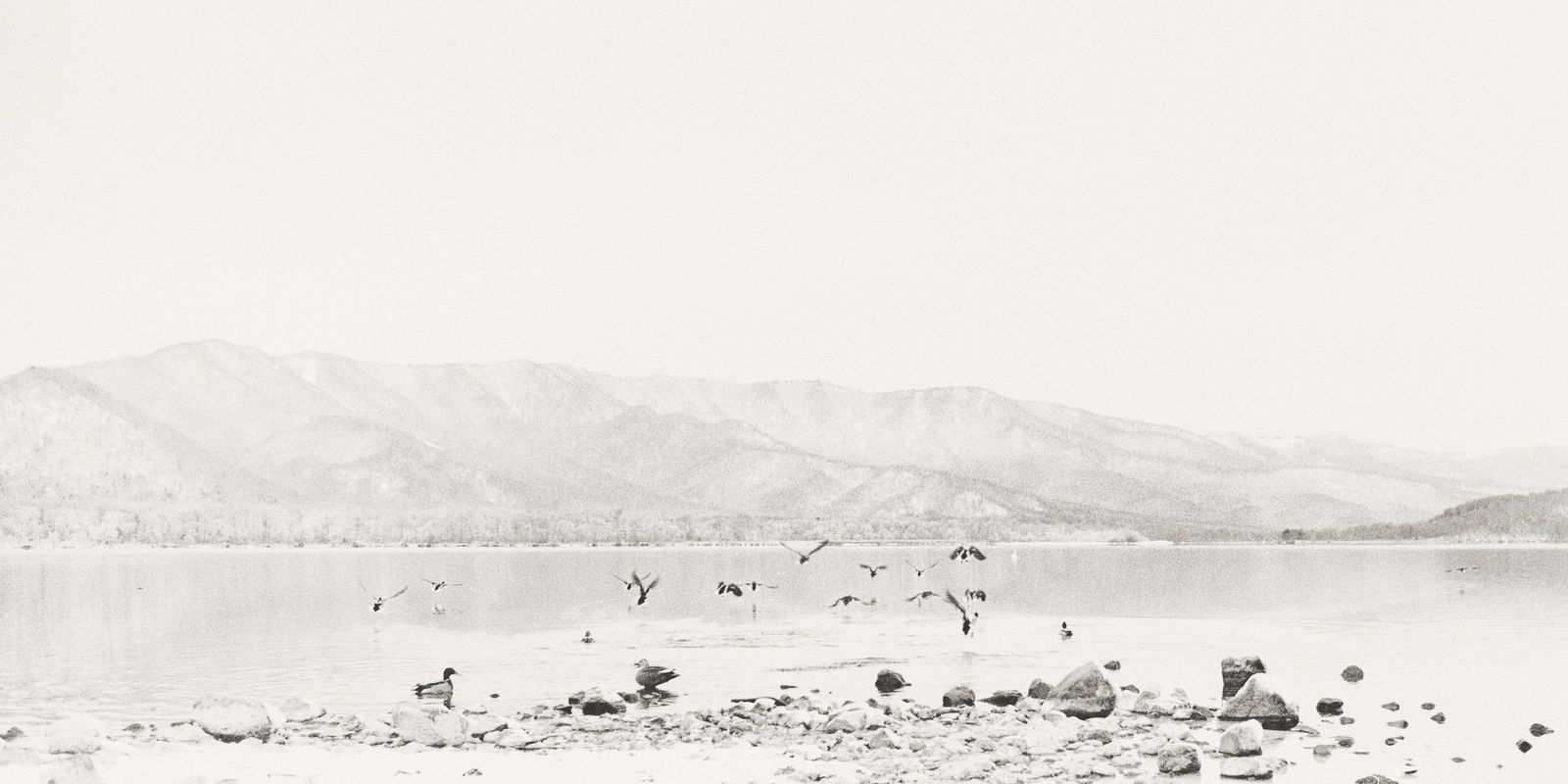 Margaret Lansink, Away (Concept of Ma), 2019