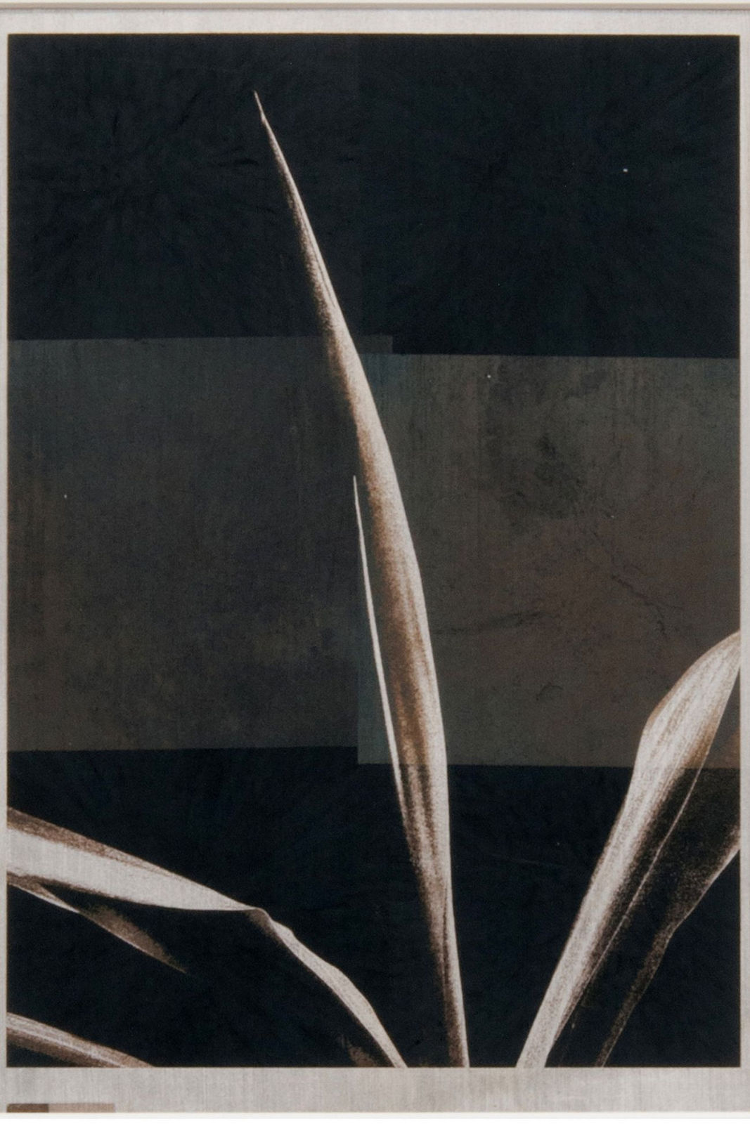 Norio Takasugi, zb-1, 2018