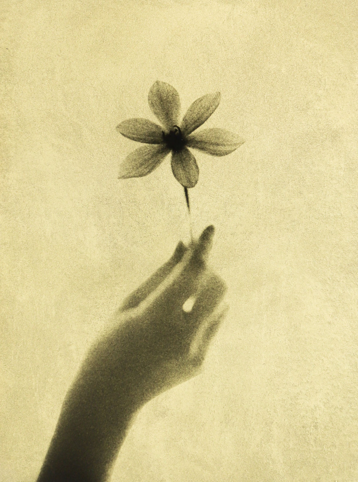 Naohiro Ninomiya, Glanage-46, 2021