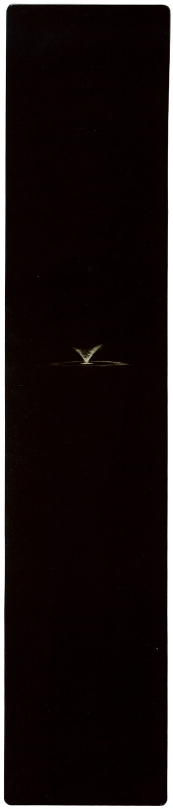 Miho Kajioka, BK0283, 2010