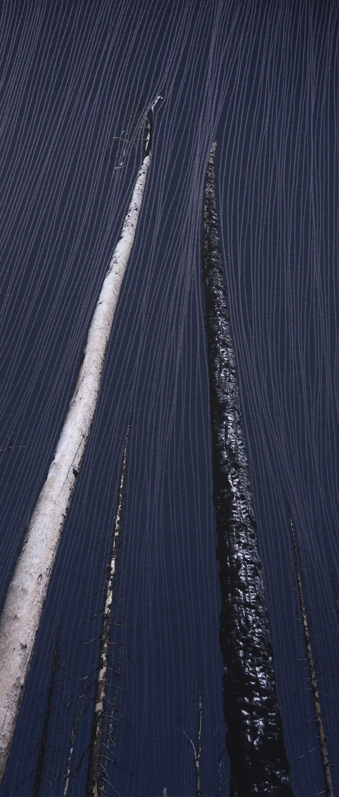 Morvarid K, Standing Still 10-1, 2026