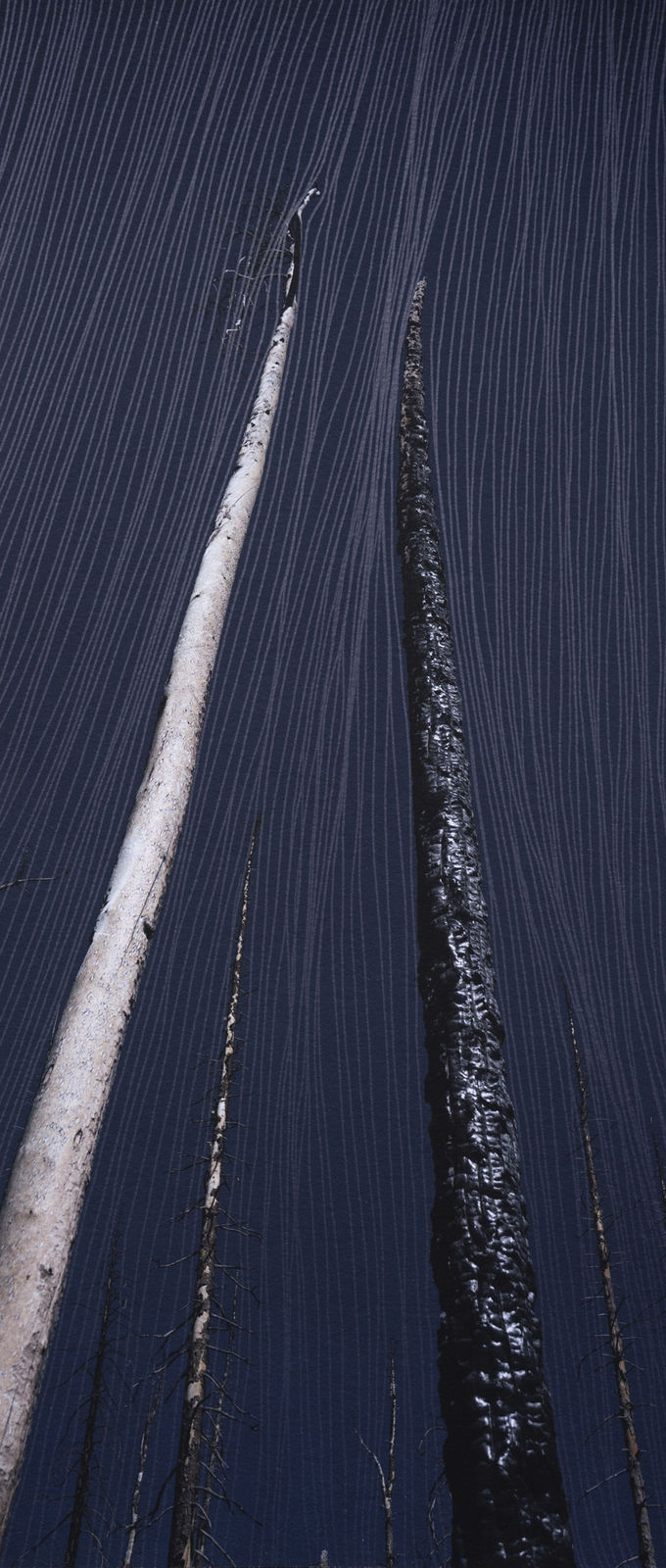 Morvarid K, Standing Still 10-1, 2026