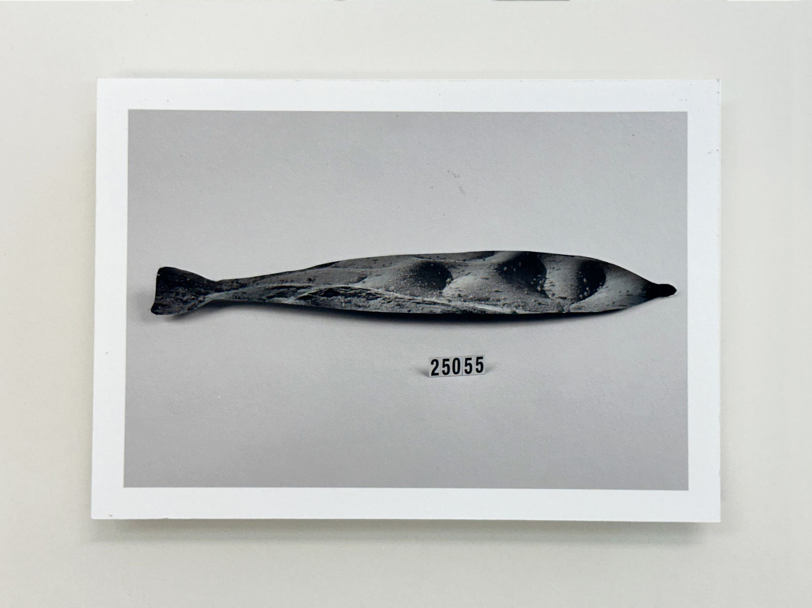 Patrick Waterhouse, 25055, 2022-23