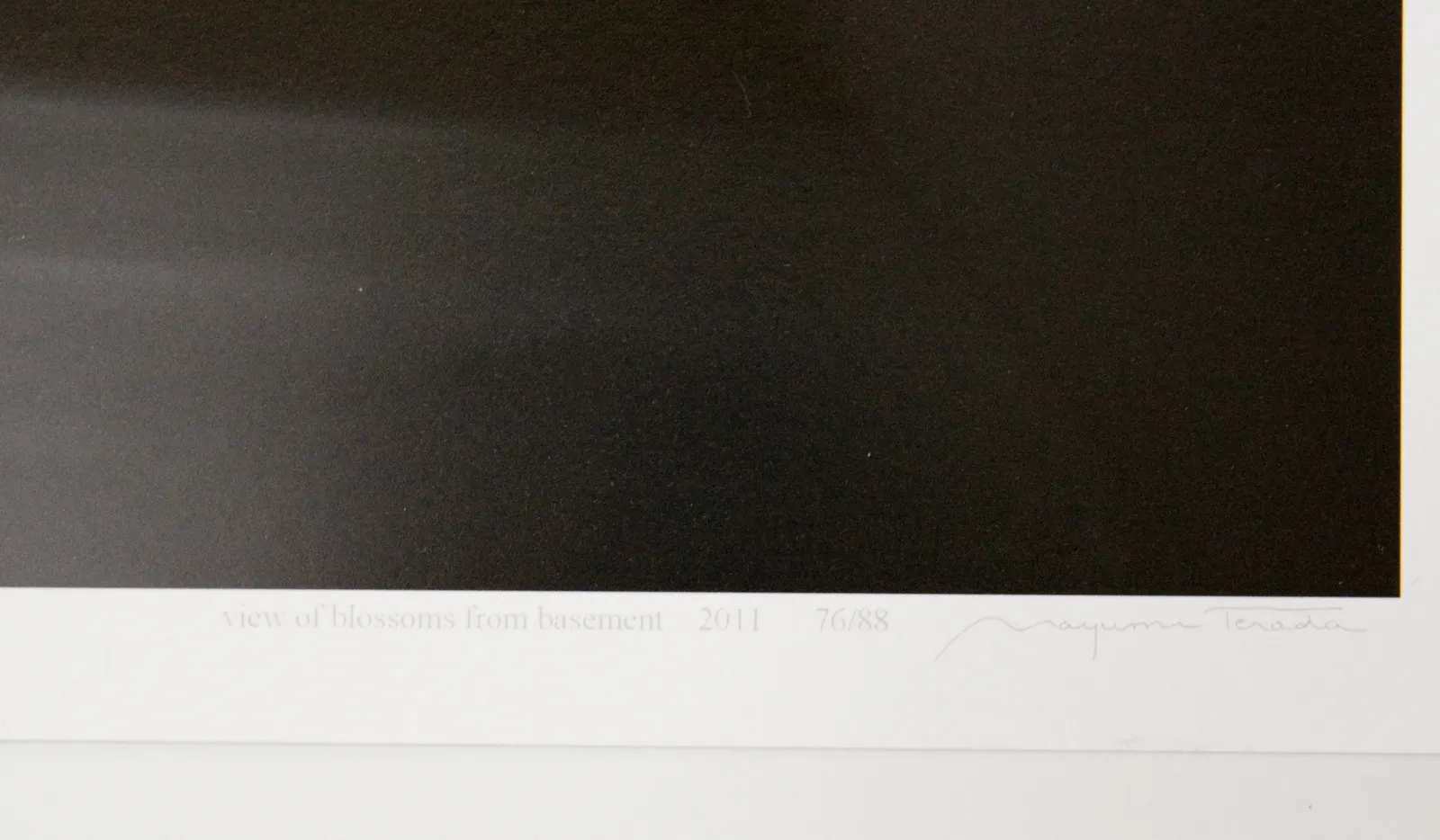 Various Japanese Artists, Mayumi Terada - View of Blossoms from Basement, 2007