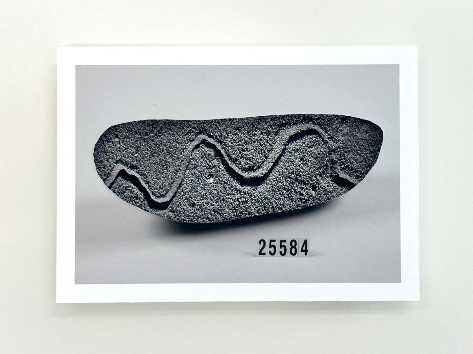 Patrick Waterhouse, 25584, 2022-23