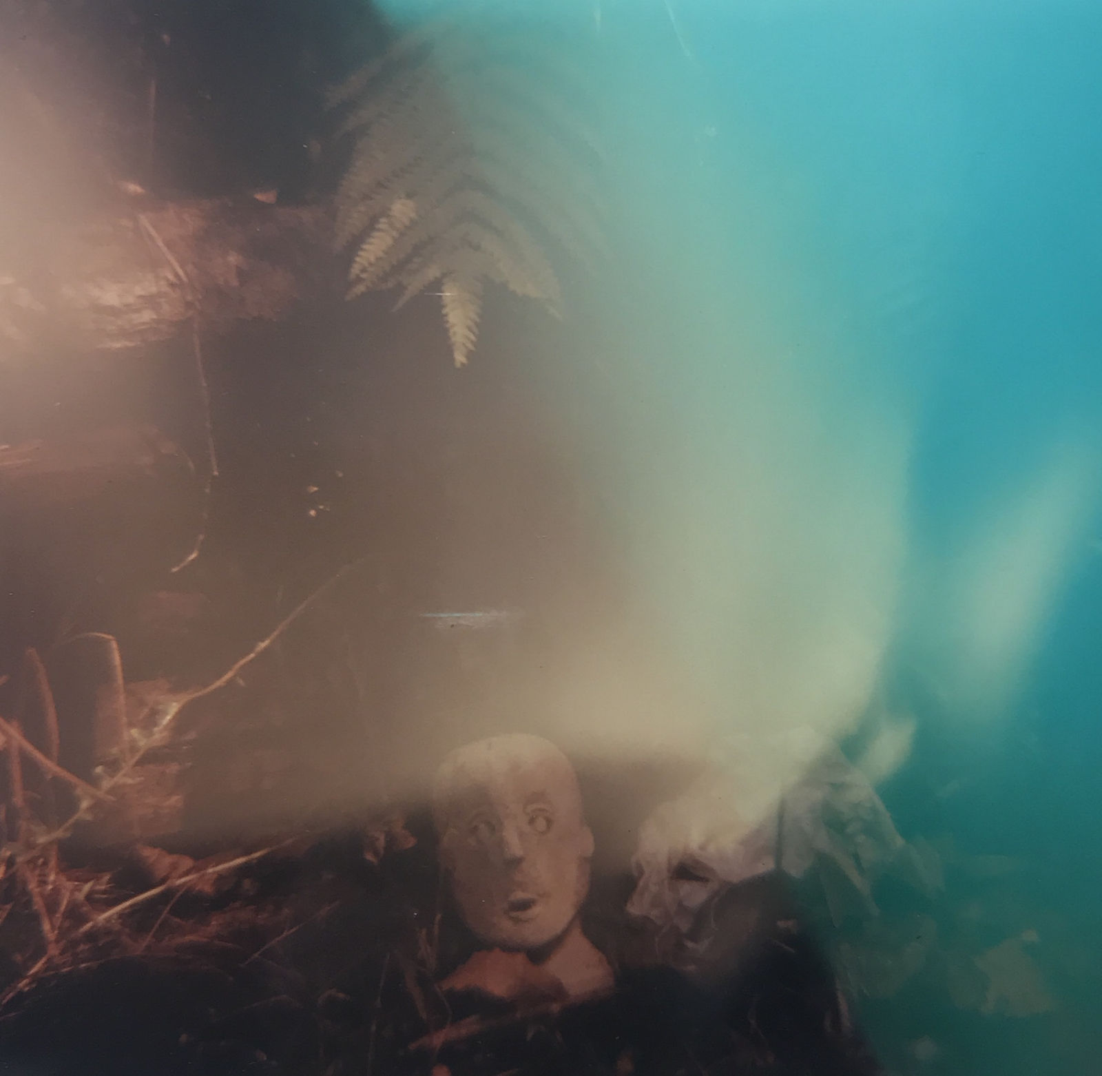 Sean Lotman, Yakushima masks, 2010