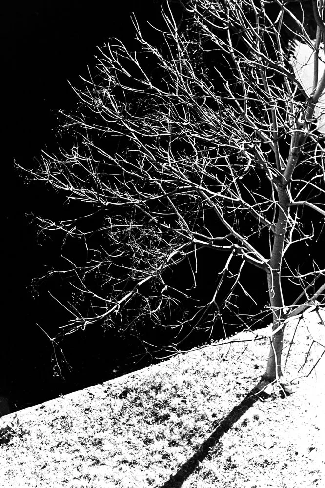 Munemasa Takahashi, Laying Stones 023, 2014