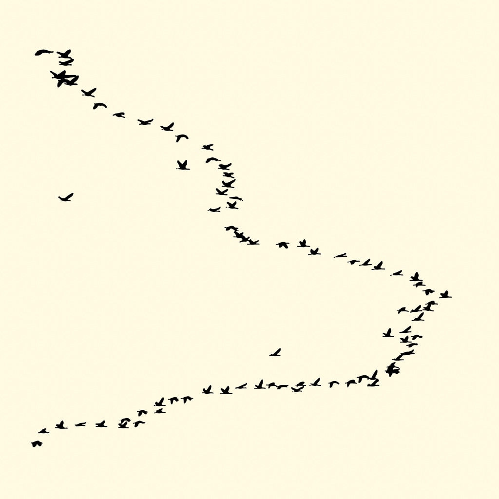 François Laxalt, Quatre Vingt Un / Eighty one, 2008