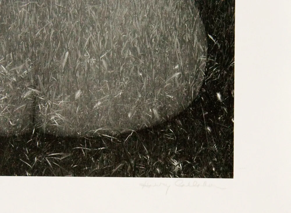 Harry Callahan, Eleanor, Aix-en-Provence, France, 1957-58