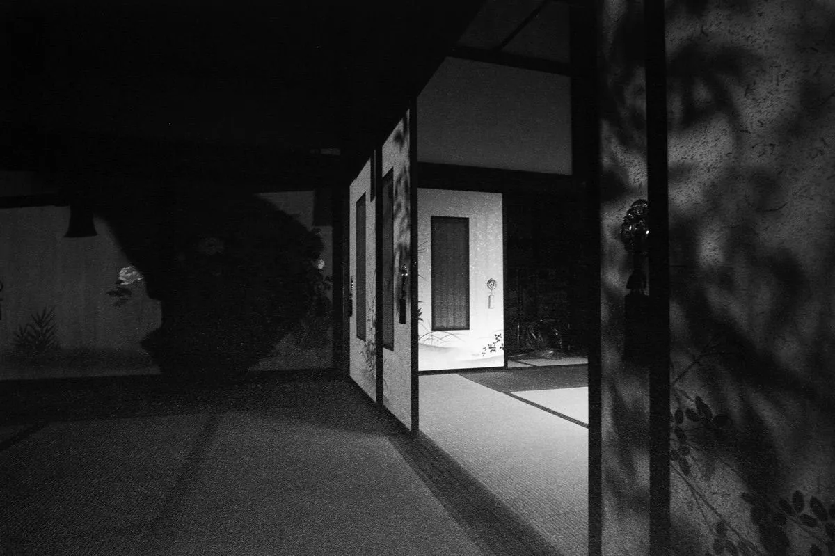 Naoyuki Ogino, Womb of the Myth 14, 2012