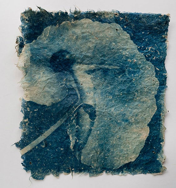 Mika Horie, Fuki 21, 2025