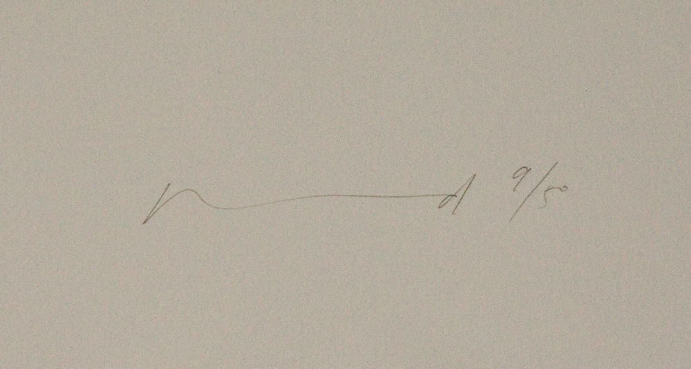 Various International Artists, Darren Almond - Yamal, 2010