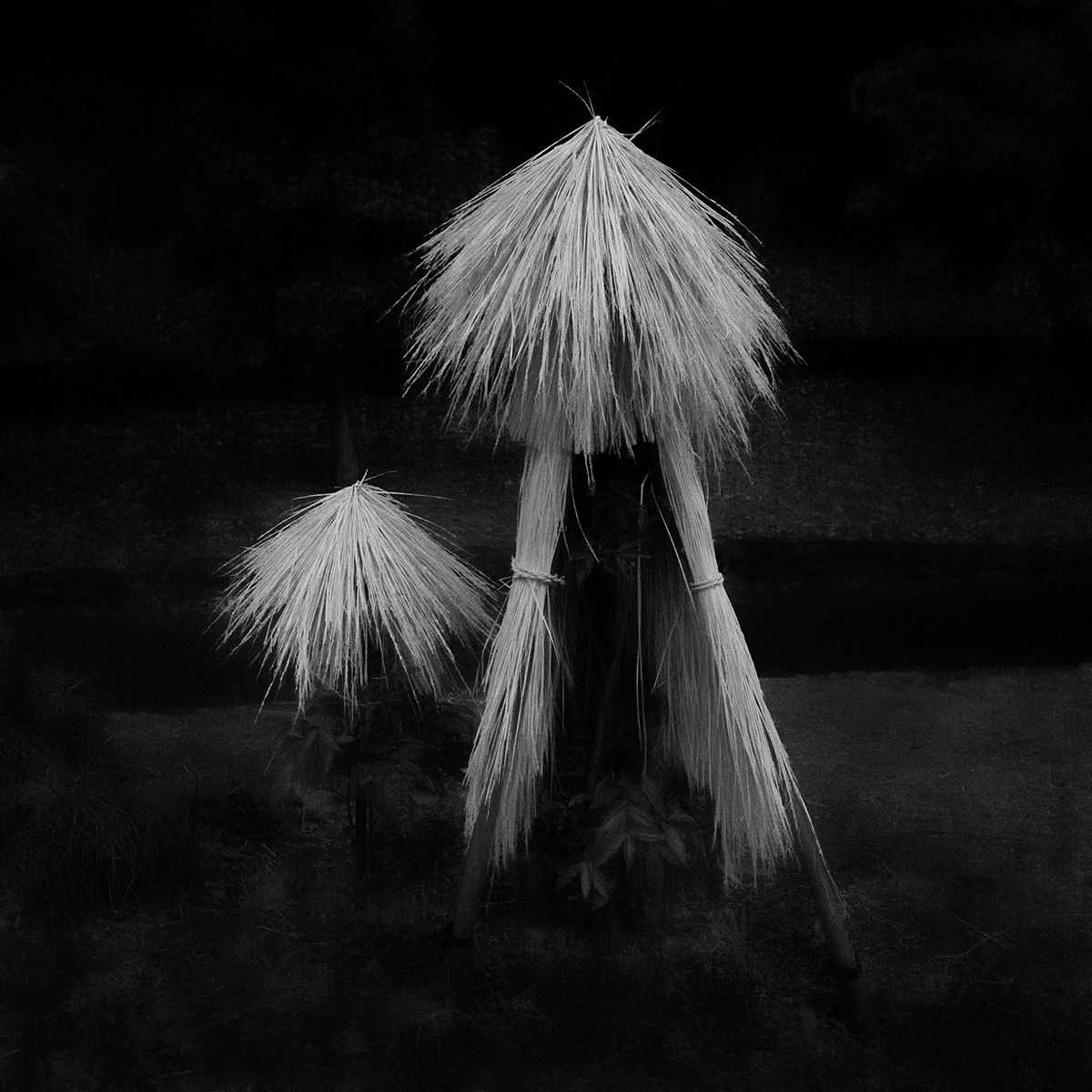 Toshiya Watanabe, Beyond what you see #06, 2021