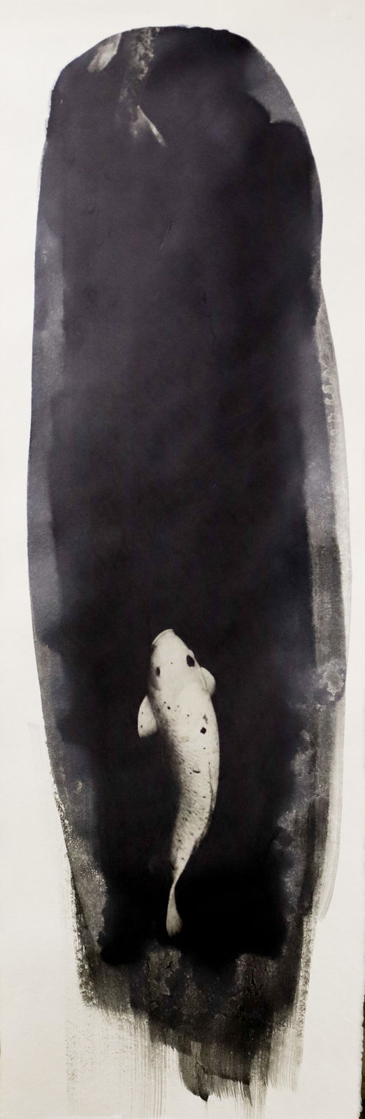 Naohiro Ninomiya, Nokomi-11, 2022