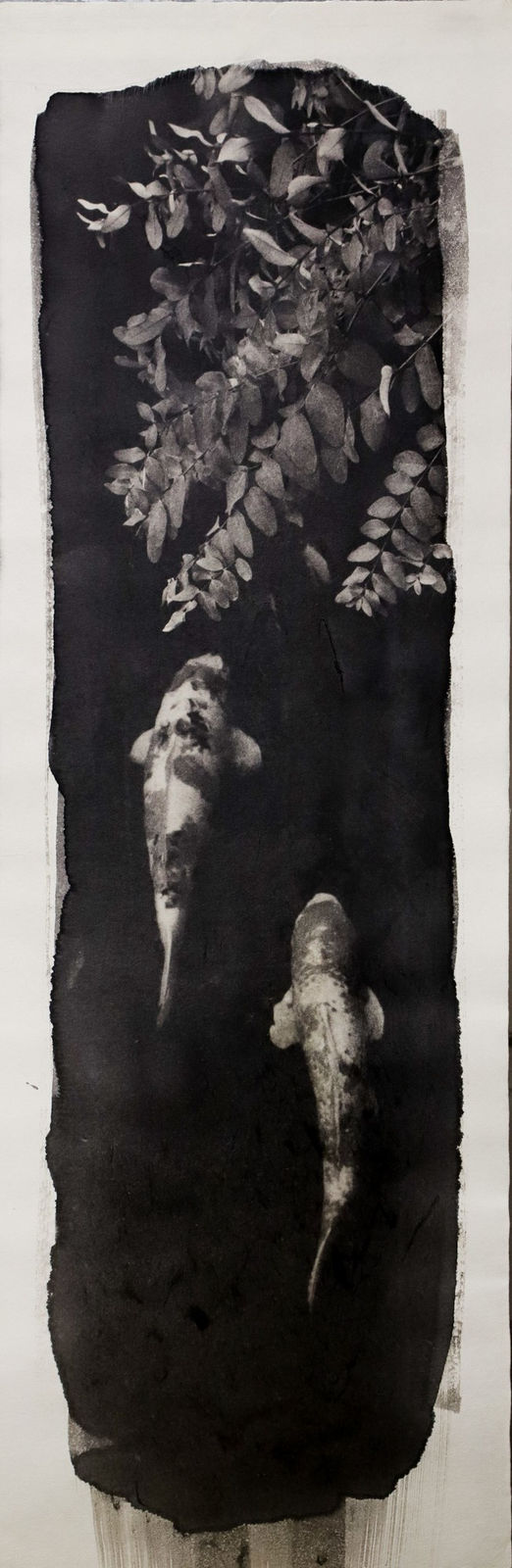 Naohiro Ninomiya, Nokomi-20, 2022