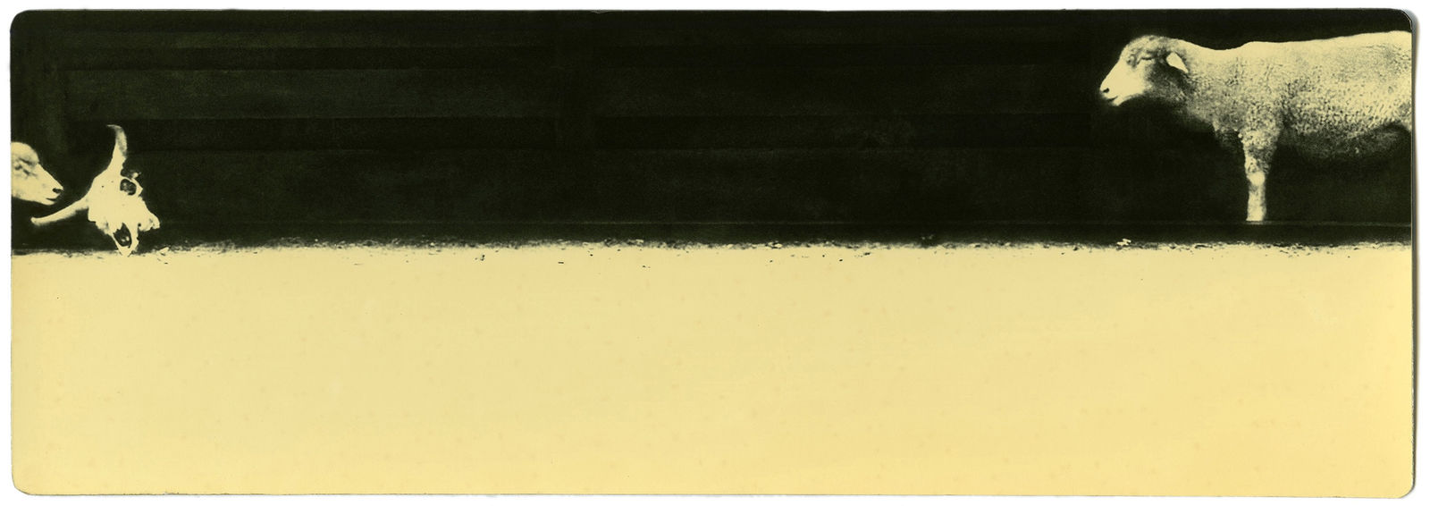 Miho Kajioka, BK0266 variant, 2000