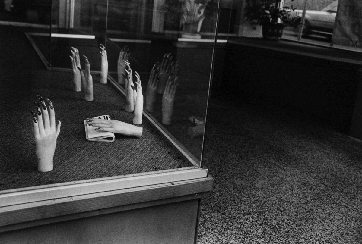 Reiko Imoto, Vegitation from Visions of the Other Side, 1999