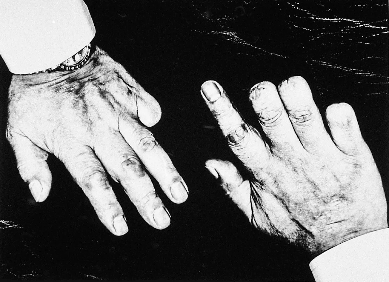 Ronin de Goede, No. 403013, 2016/2021