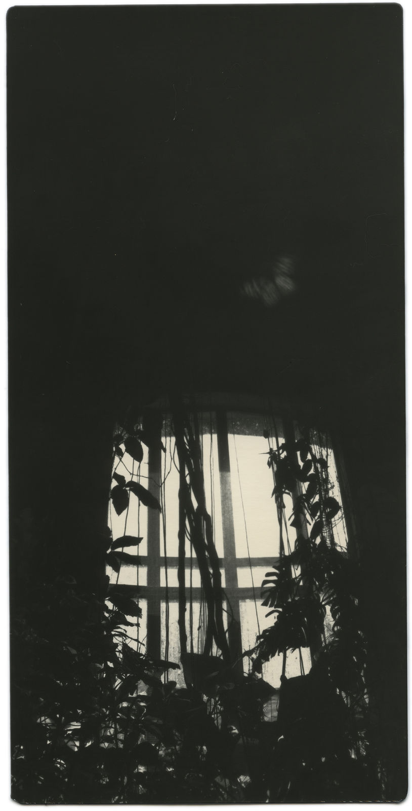 Miho Kajioka, BK0342, 2018