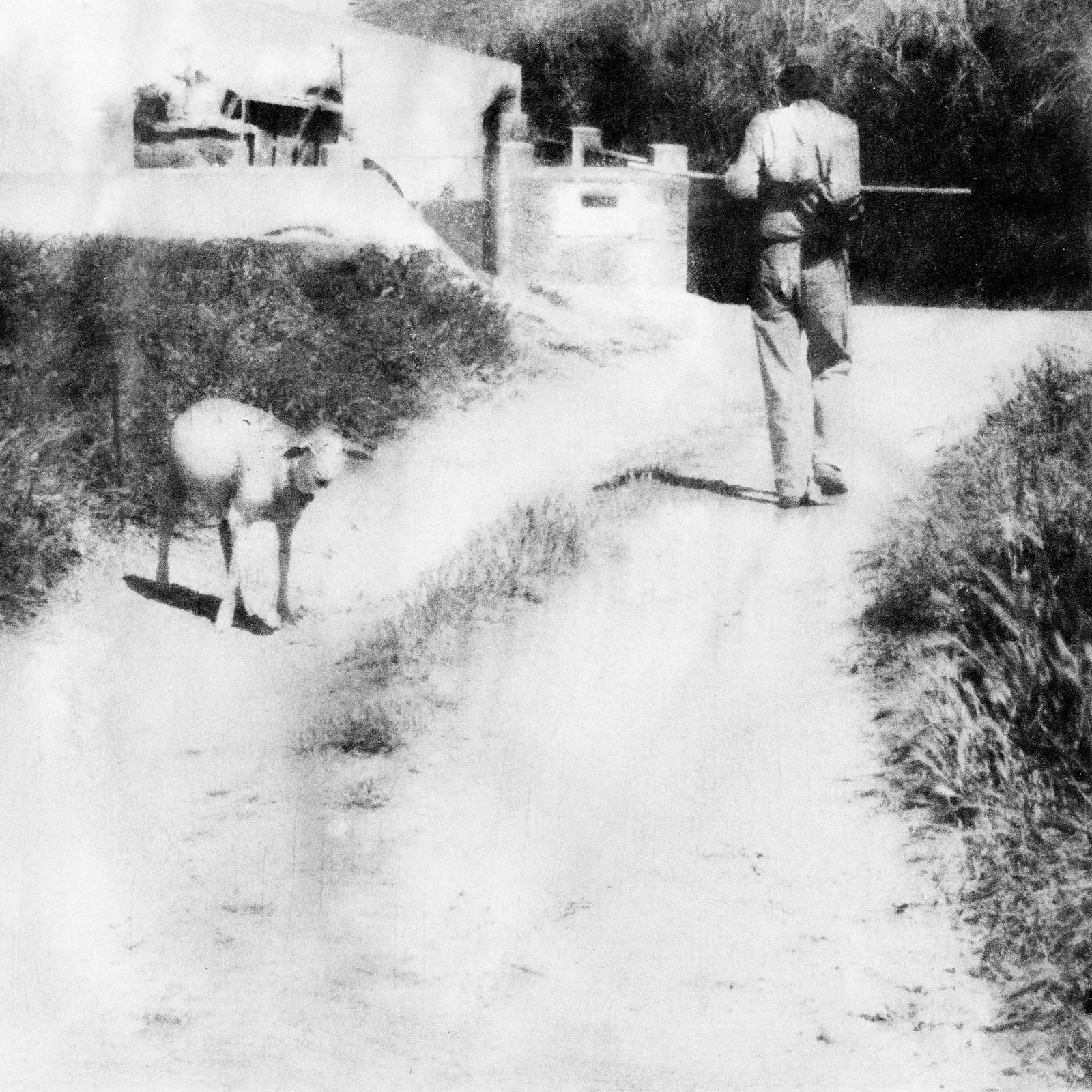 Hajime Kimura, Correspondence 76, 2017