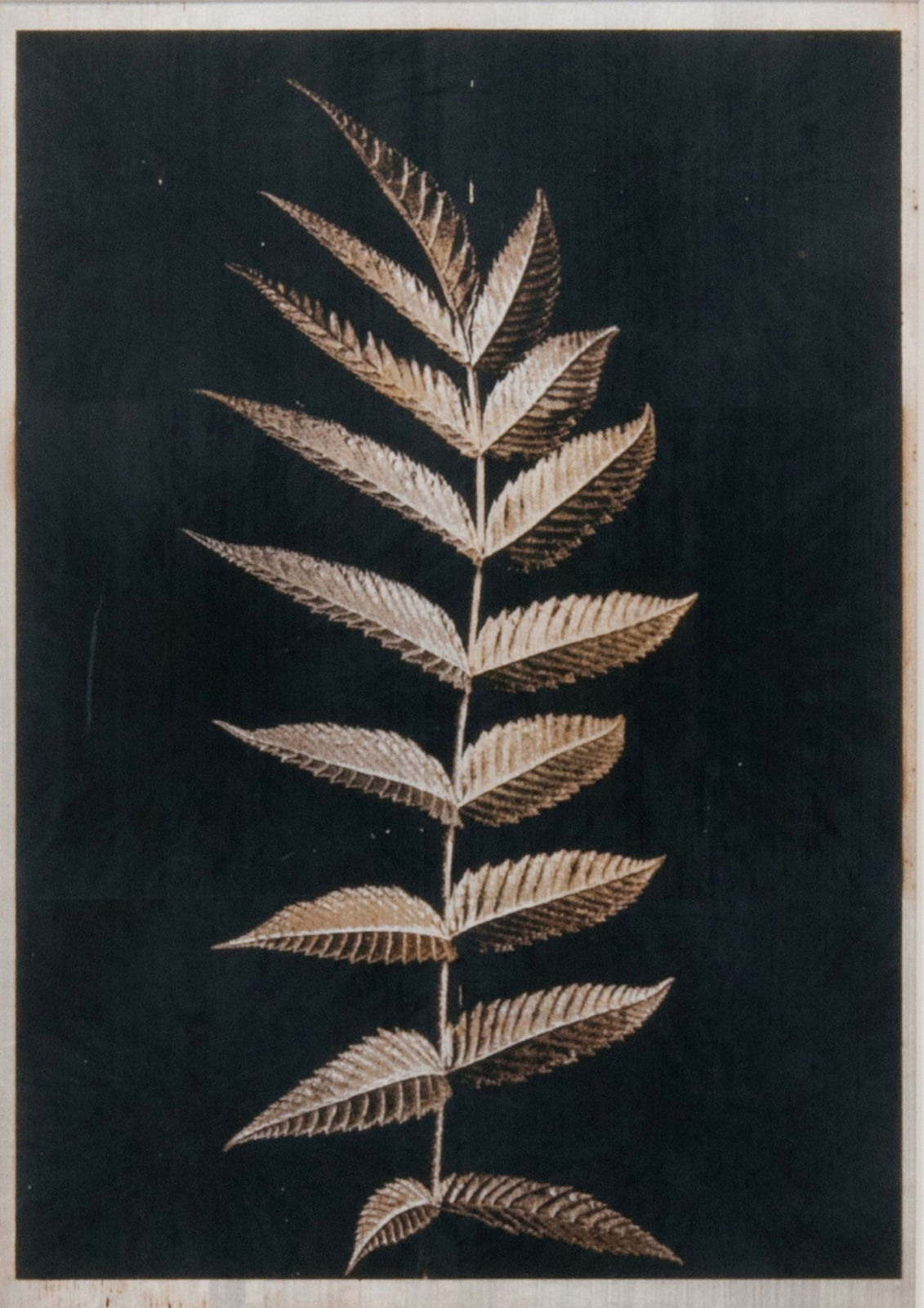 Norio Takasugi, gb-5, 2018