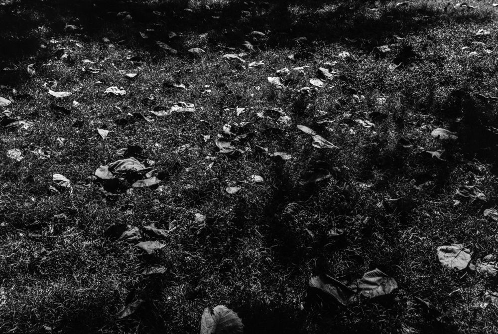 Hitoshi Fugo, 'BLACKOUT' #44, 1980