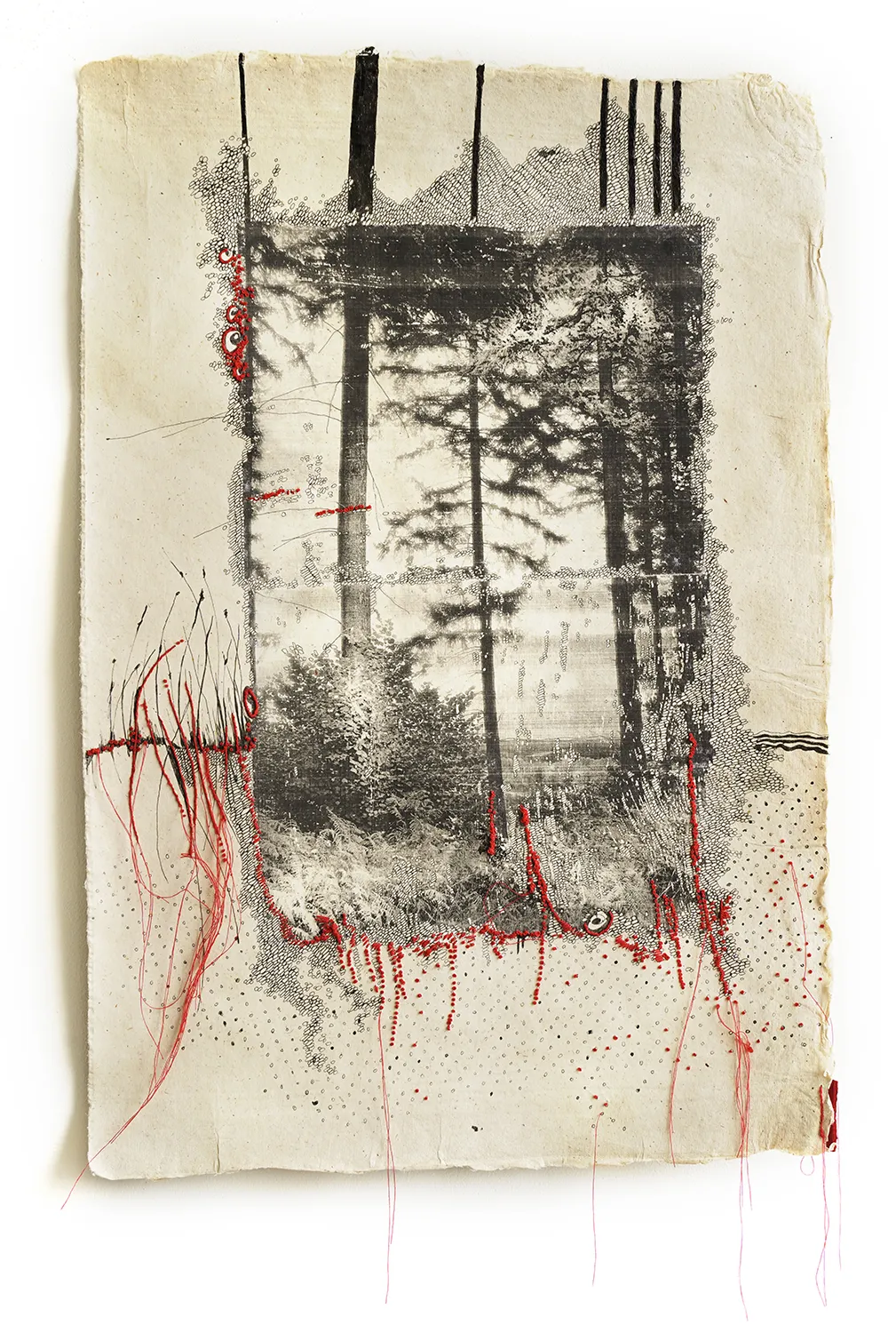 Jackie Mulder, Thought Trails #580, 2026